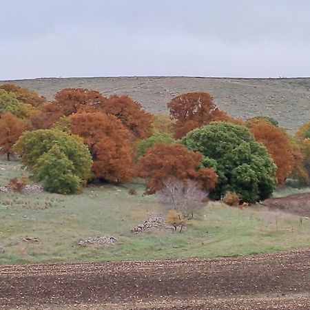 Giardino Della Moscatella Panzió Altamura Kültér fotó