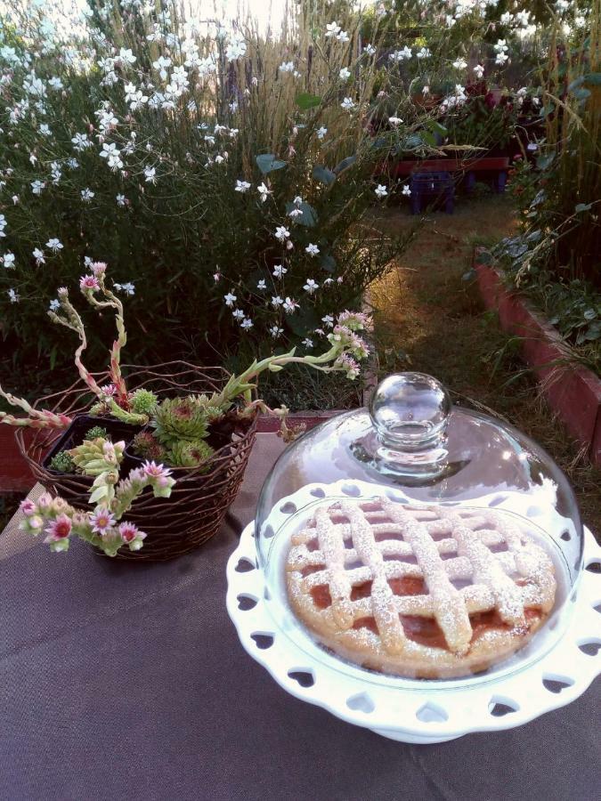 Giardino Della Moscatella Panzió Altamura Kültér fotó