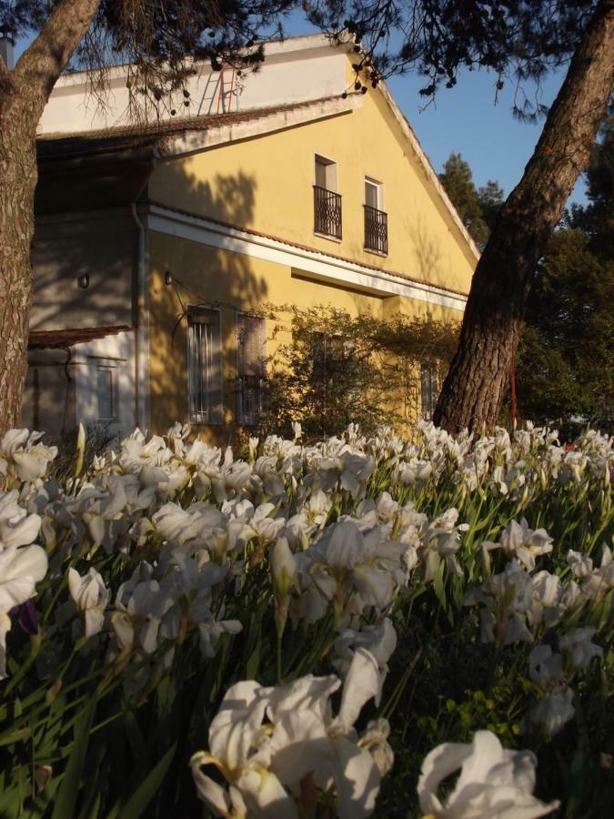 Giardino Della Moscatella Panzió Altamura Kültér fotó